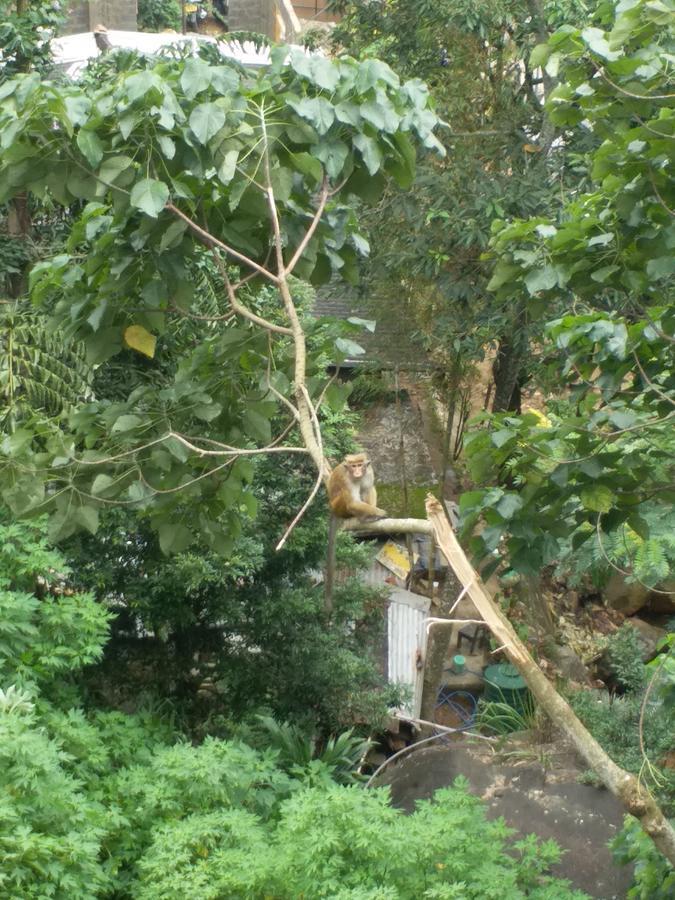 Kandy Dilruk Homestay 外观 照片